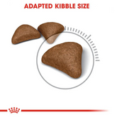 Royal Canin Hairball Care Dry Food